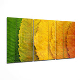 Autumn Leaves Glass Wall Art.